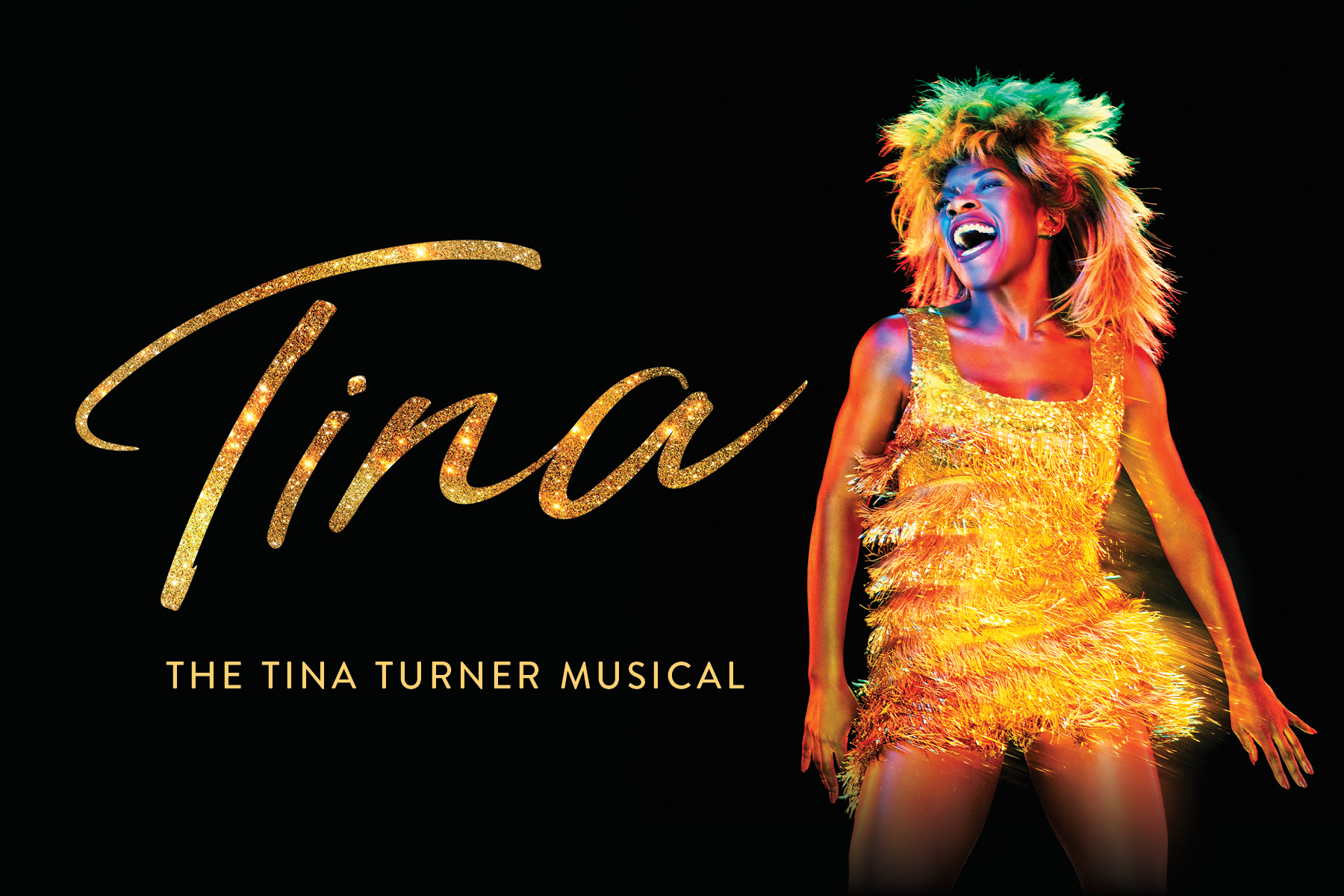 TINA The Tina Turner Musical