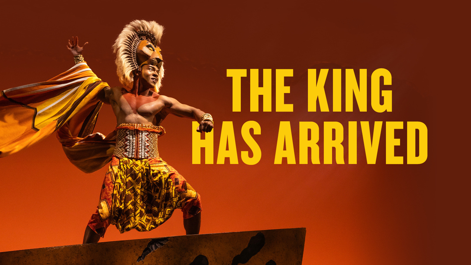 Erick D. Patrick as Simba in Disney's The Lion King. Photo Credit: Matthew Murphy ©Disney